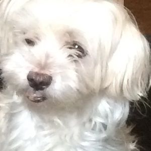 Meet your Posher, Sandra